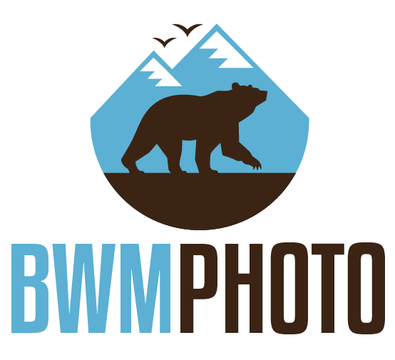 BWMPhoto – Brian W Matthews Wildlife Photography